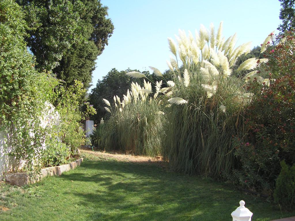 Finca La Favorita- Suites (Adults Only) Constantina Exteriér fotografie