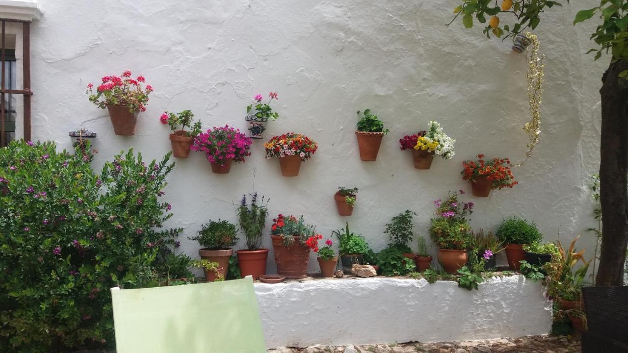Finca La Favorita- Suites (Adults Only) Constantina Exteriér fotografie